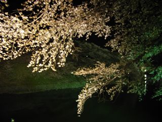 璹