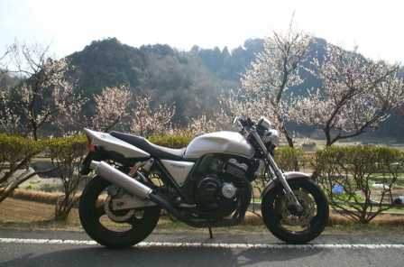 CB400SFverS